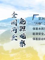 讀圖｜2020政府工作報告中這些內(nèi)容，和能源電力有關！