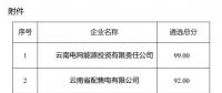 2025年云南電力市場保底售電公司候選名單公示！